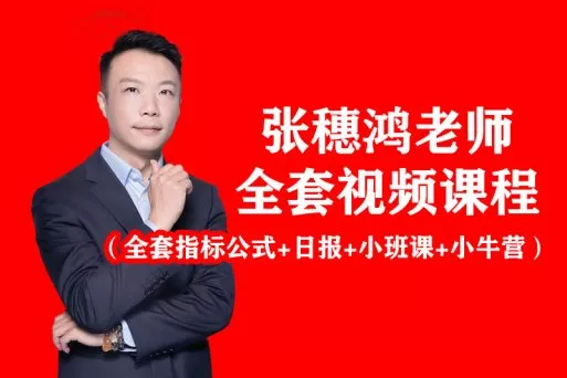 2025财学堂张穗鸿-龙虎跃鸿雁精修全套课程（指标+日报+小班课+带更新）
