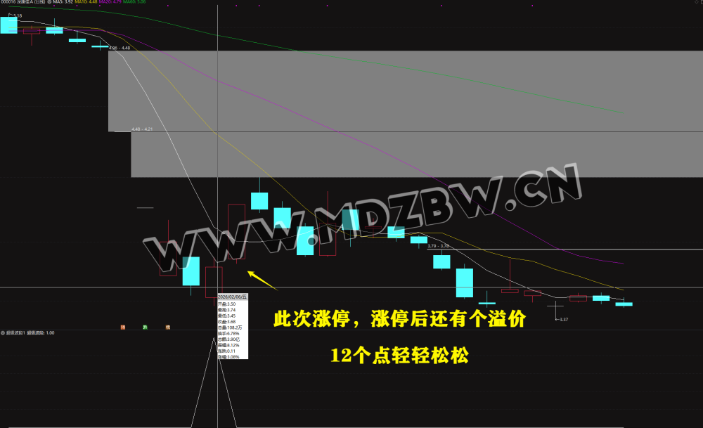 【超级波段】抄底波段指标 年成功率97 两年成功率94