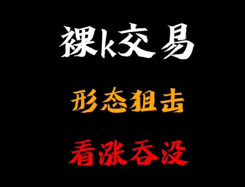半山猎人《裸k交易》系列视频课程