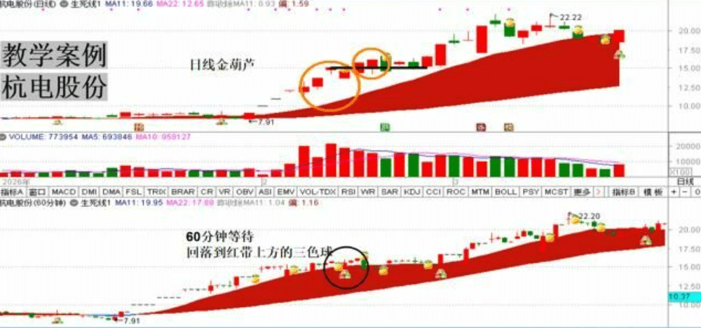 金葫芦指标+生死线指标