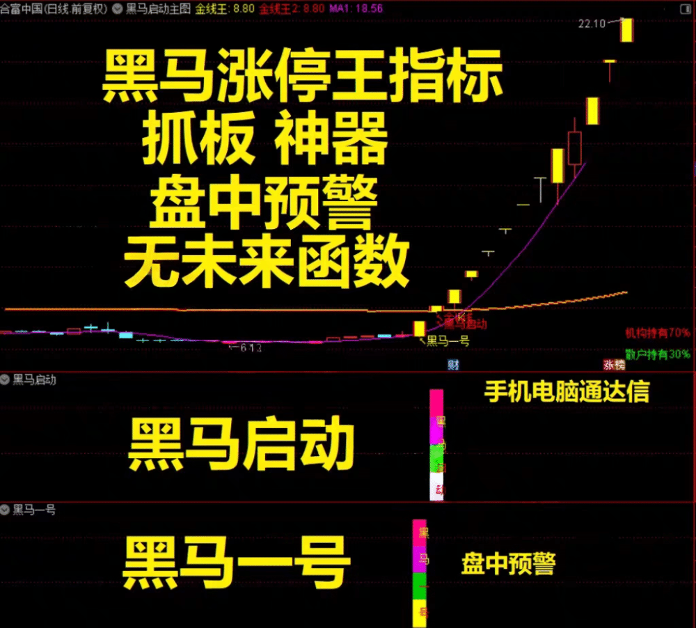 20260330044834202 黑马涨停王