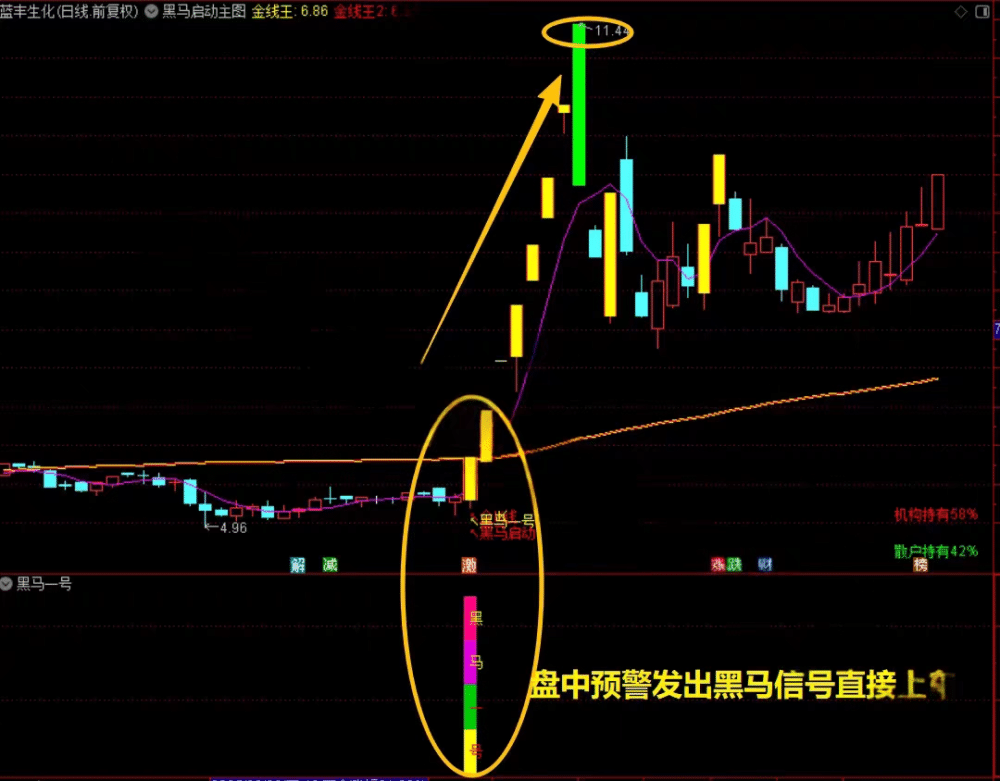 20260330044837291 黑马涨停王
