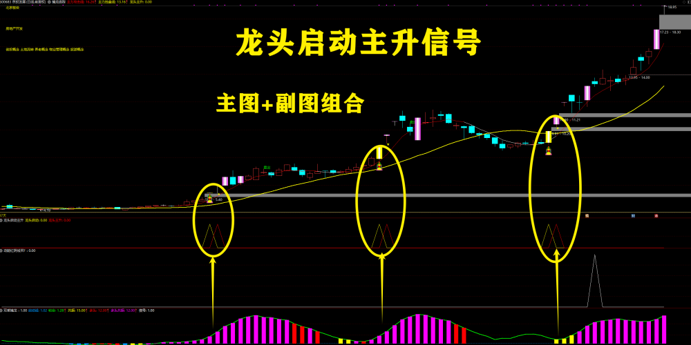 【2026双紫擒龙】：套装共80个指标 紫紫红黄 ，主力吸筹， 抓龙头，跟主力 无加密，永久使用