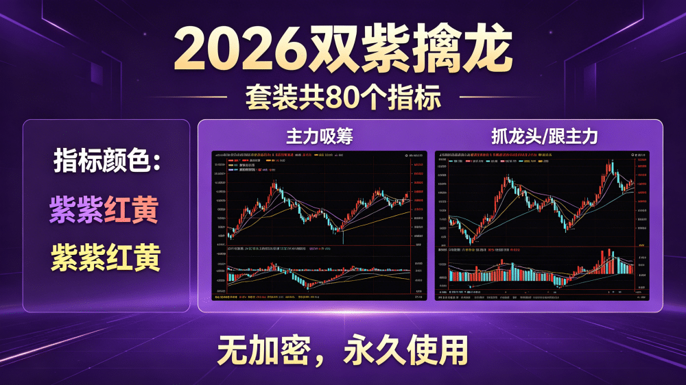 【2026双紫擒龙】套装共80个指标 紫紫红黄 ，主力吸筹， 抓龙头，跟主力 无加密，永久使用