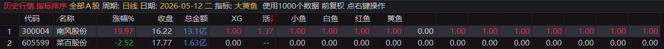 大黄鱼指标2025 