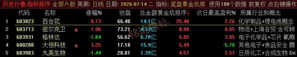 『尾盘黄金坑排序』主力洗盘结束后的尾盘潜伏低吸 短线次日套利排序工具 数据可回测，电脑使用