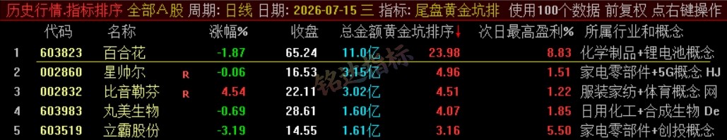 『尾盘黄金坑排序』主力洗盘结束后的尾盘潜伏低吸 短线次日套利排序工具 数据可回测，电脑使用